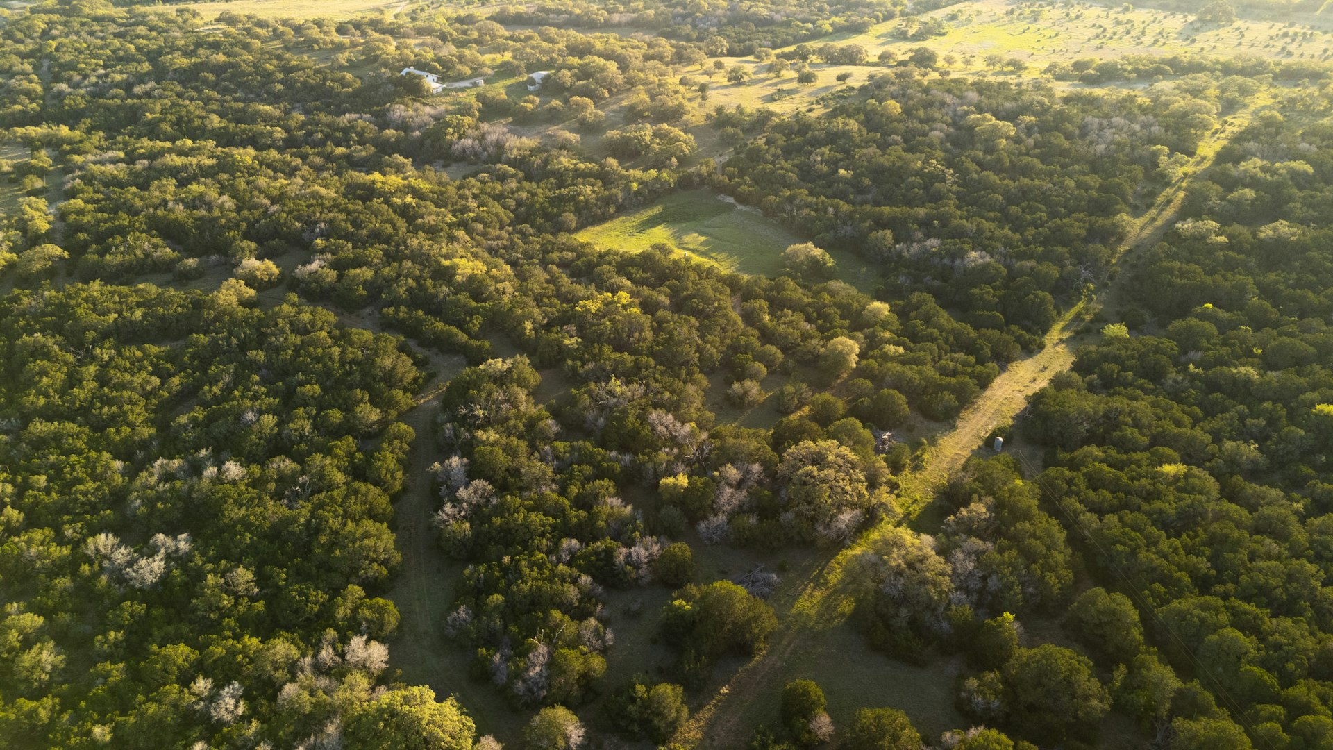 3584 Privilege Creek Road Pipe Creek TX 78063