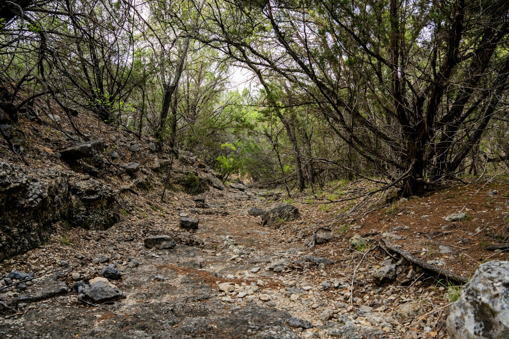 3584 Privilege Creek Road Pipe Creek TX 78063