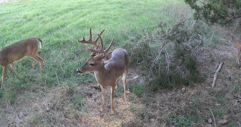 3584 Privilege Creek Road Pipe Creek TX 78063