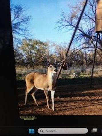 119.51 +/- Acres Out Of Abst 144, Survey Robert R Raineysec Pre Woodson TX 76491