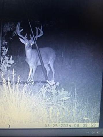 119.51 +/- Acres Out Of Abst 144, Survey Robert R Raineysec Pre Woodson TX 76491