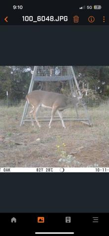 119.51 +/- Acres Out Of Abst 144, Survey Robert R Raineysec Pre Woodson TX 76491