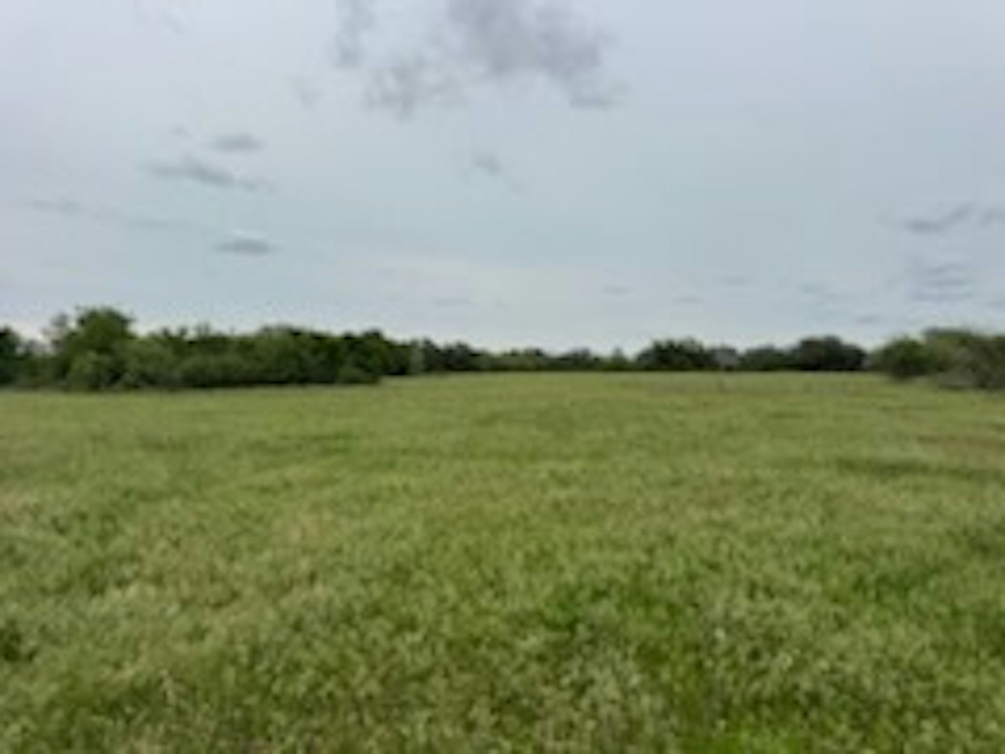 119.51 +/- Acres Out Of Abst 144, Survey Robert R Raineysec Pre Woodson TX 76491