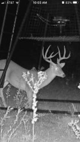 119.51 +/- Acres Out Of Abst 144, Survey Robert R Raineysec Pre Woodson TX 76491