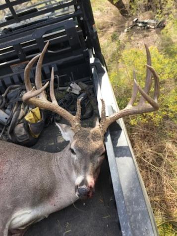 119.51 +/- Acres Out Of Abst 144, Survey Robert R Raineysec Pre Woodson TX 76491