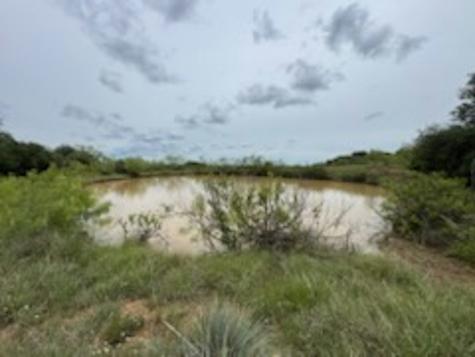 119.51 +/- Acres Out Of Abst 144, Survey Robert R Raineysec Pre Woodson TX 76491