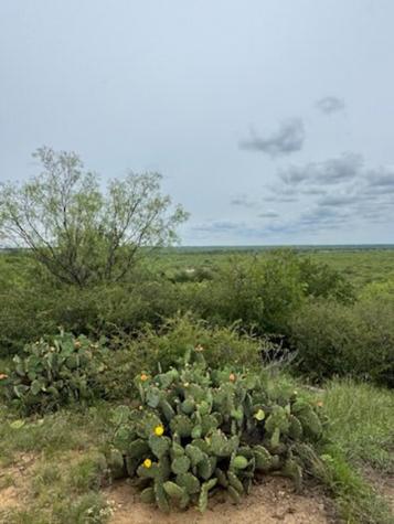 119.51 +/- Acres Out Of Abst 144, Survey Robert R Raineysec Pre Woodson TX 76491