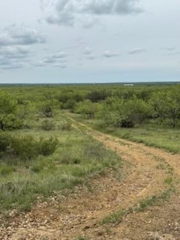 119.51 +/- Acres Out Of Abst 144, Survey Robert R Raineysec Pre Woodson TX 76491