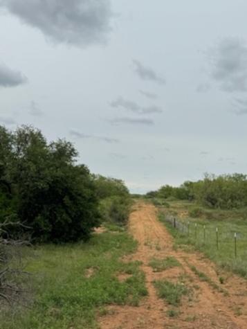 119.51 +/- Acres Out Of Abst 144, Survey Robert R Raineysec Pre Woodson TX 76491
