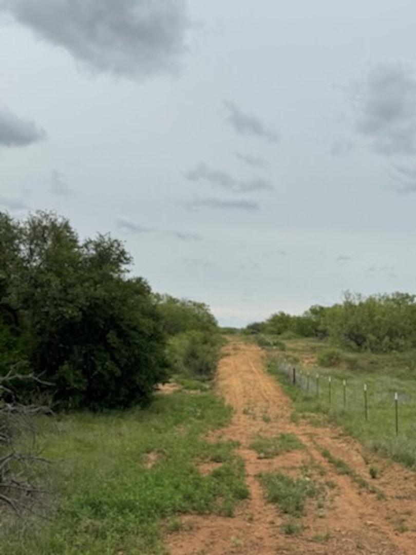 119.51 +/- Acres Out Of Abst 144, Survey Robert R Raineysec Pre Woodson TX 76491