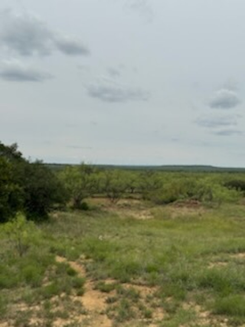 119.51 +/- Acres Out Of Abst 144, Survey Robert R Raineysec Pre Woodson TX 76491