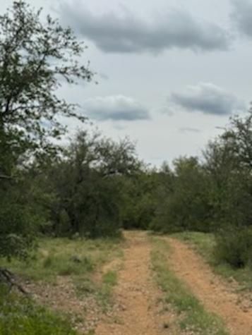 119.51 +/- Acres Out Of Abst 144, Survey Robert R Raineysec Pre Woodson TX 76491