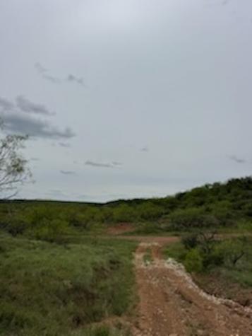 119.51 +/- Acres Out Of Abst 144, Survey Robert R Raineysec Pre Woodson TX 76491