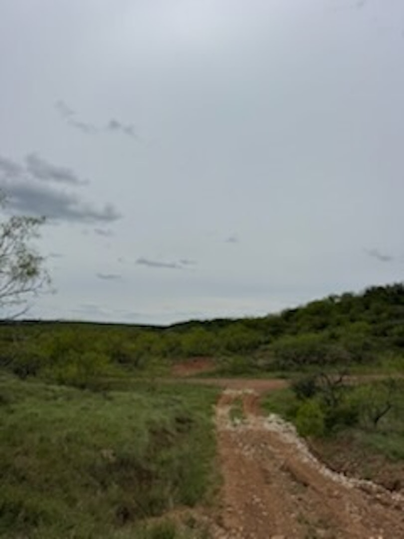 119.51 +/- Acres Out Of Abst 144, Survey Robert R Raineysec Pre Woodson TX 76491