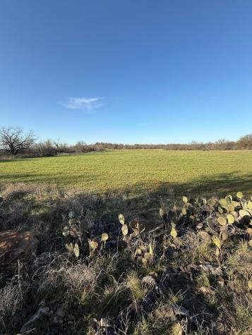 119.51 +/- Acres Out Of Abst 144, Survey Robert R Raineysec Pre Woodson TX 76491