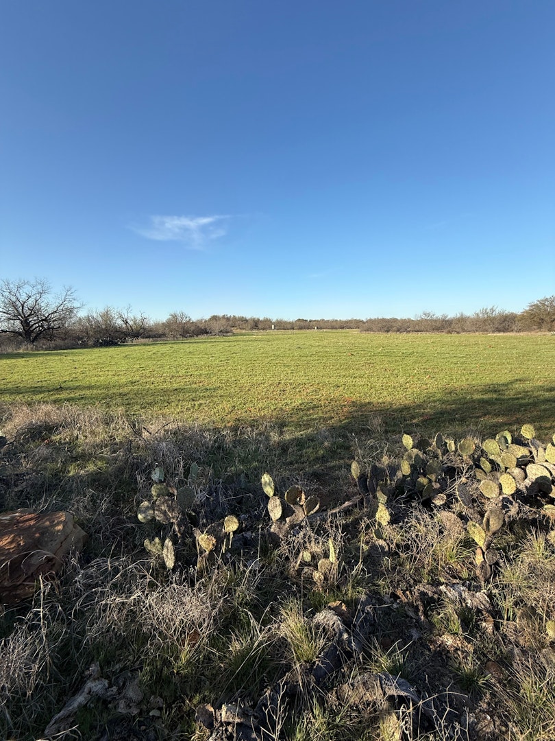 119.51 +/- Acres Out Of Abst 144, Survey Robert R Raineysec Pre Woodson TX 76491