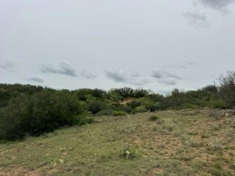 119.51 +/- Acres Out Of Abst 144, Survey Robert R Raineysec Pre Woodson TX 76491