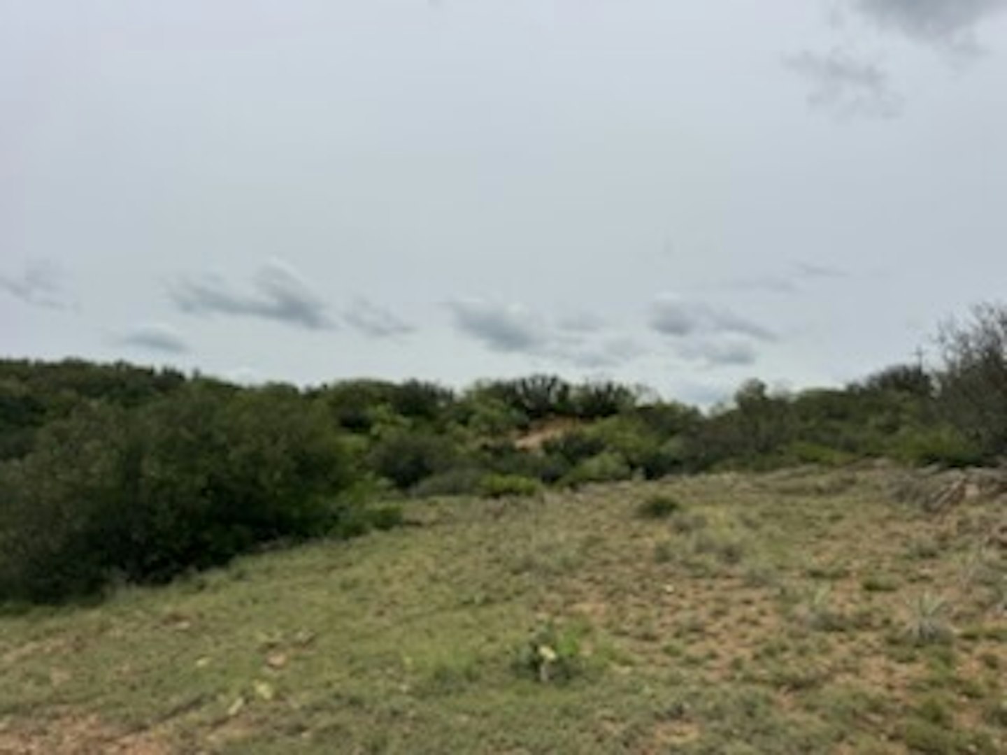 119.51 +/- Acres Out Of Abst 144, Survey Robert R Raineysec Pre Woodson TX 76491
