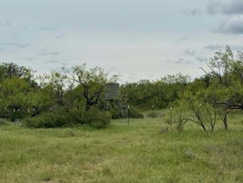 119.51 +/- Acres Out Of Abst 144, Survey Robert R Raineysec Pre Woodson TX 76491
