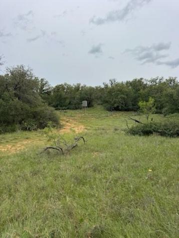 119.51 +/- Acres Out Of Abst 144, Survey Robert R Raineysec Pre Woodson TX 76491