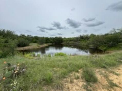 119.51 +/- Acres Out Of Abst 144, Survey Robert R Raineysec Pre Woodson TX 76491