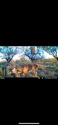 119.51 +/- Acres Out Of Abst 144, Survey Robert R Raineysec Pre Woodson TX 76491