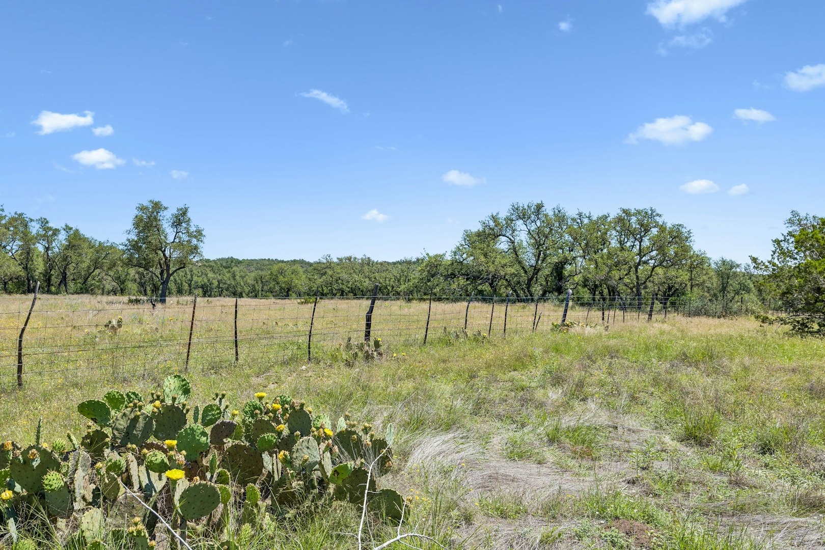 888 Wofford Road London TX 76854