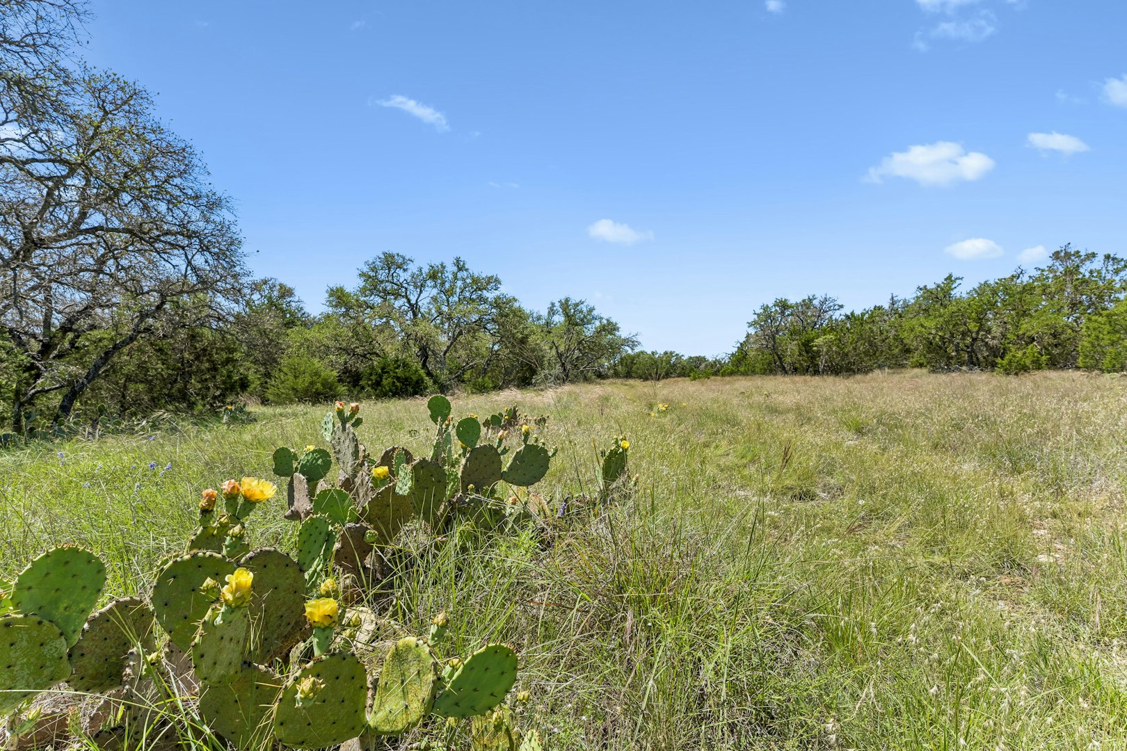 888 Wofford Road London TX 76854