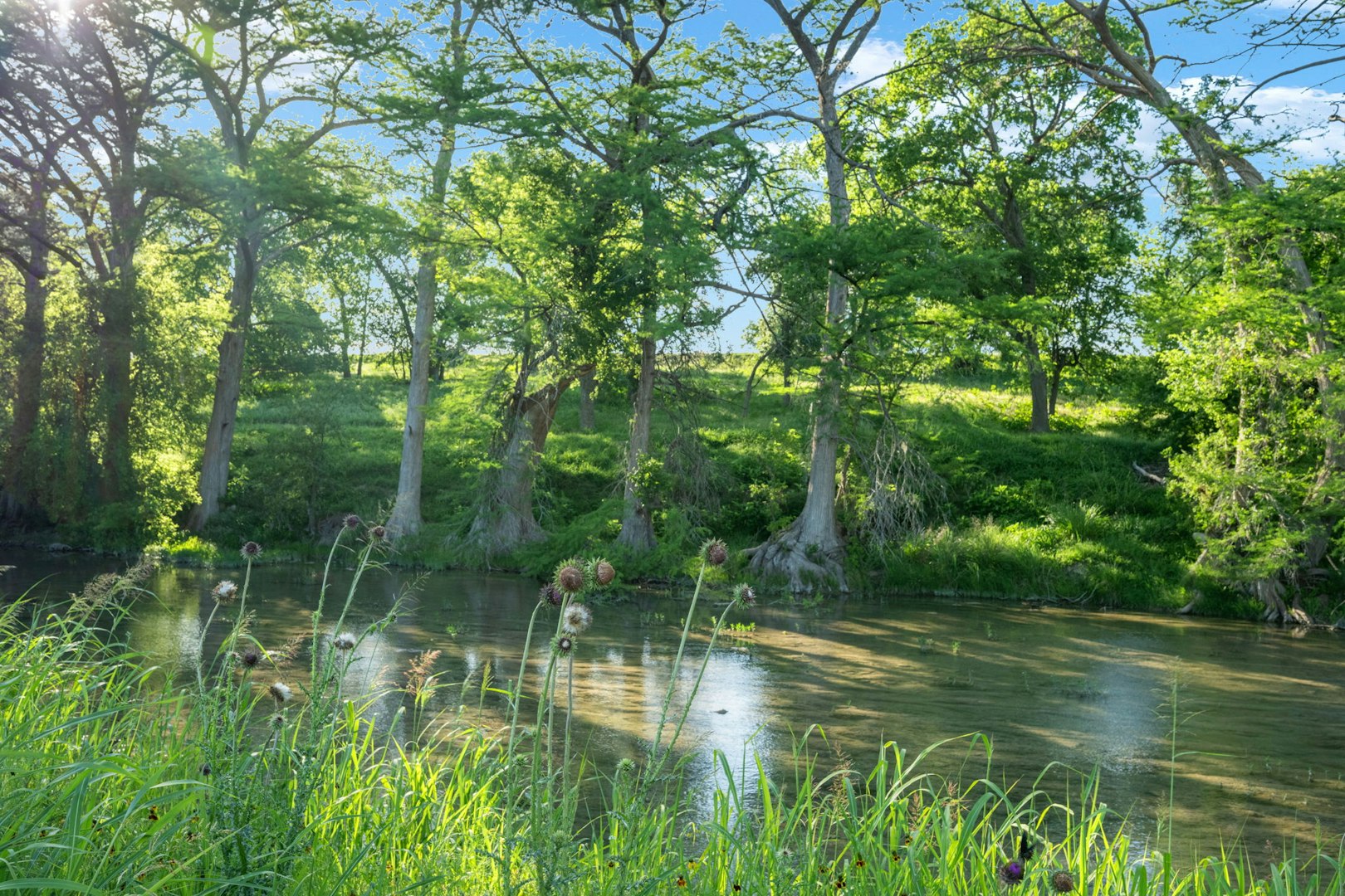 25 Zoeller Lane Boerne TX 78006