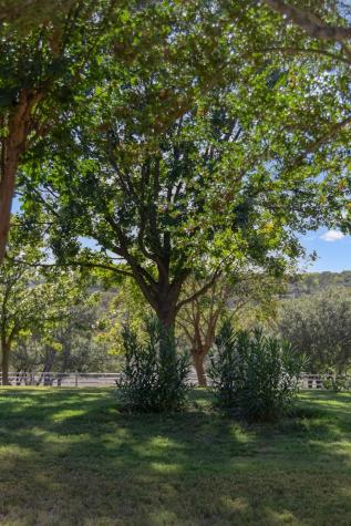 521 Bluff Creek Road North Center Point TX 78010