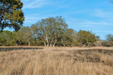 521 Bluff Creek Road North Center Point TX 78010