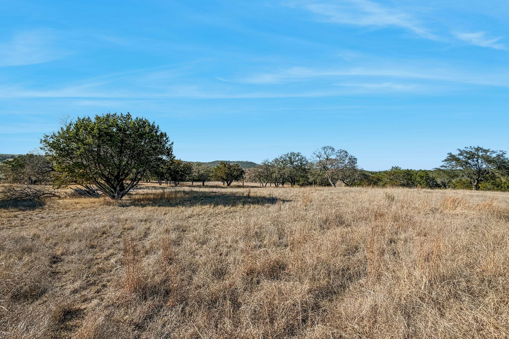 521 Bluff Creek Road North Center Point TX 78010