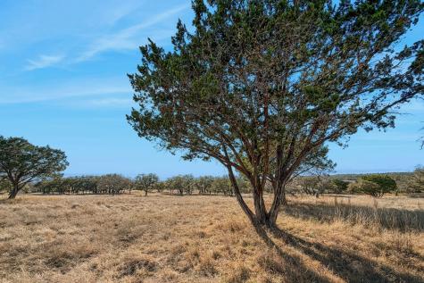 521 Bluff Creek Road North Center Point TX 78010