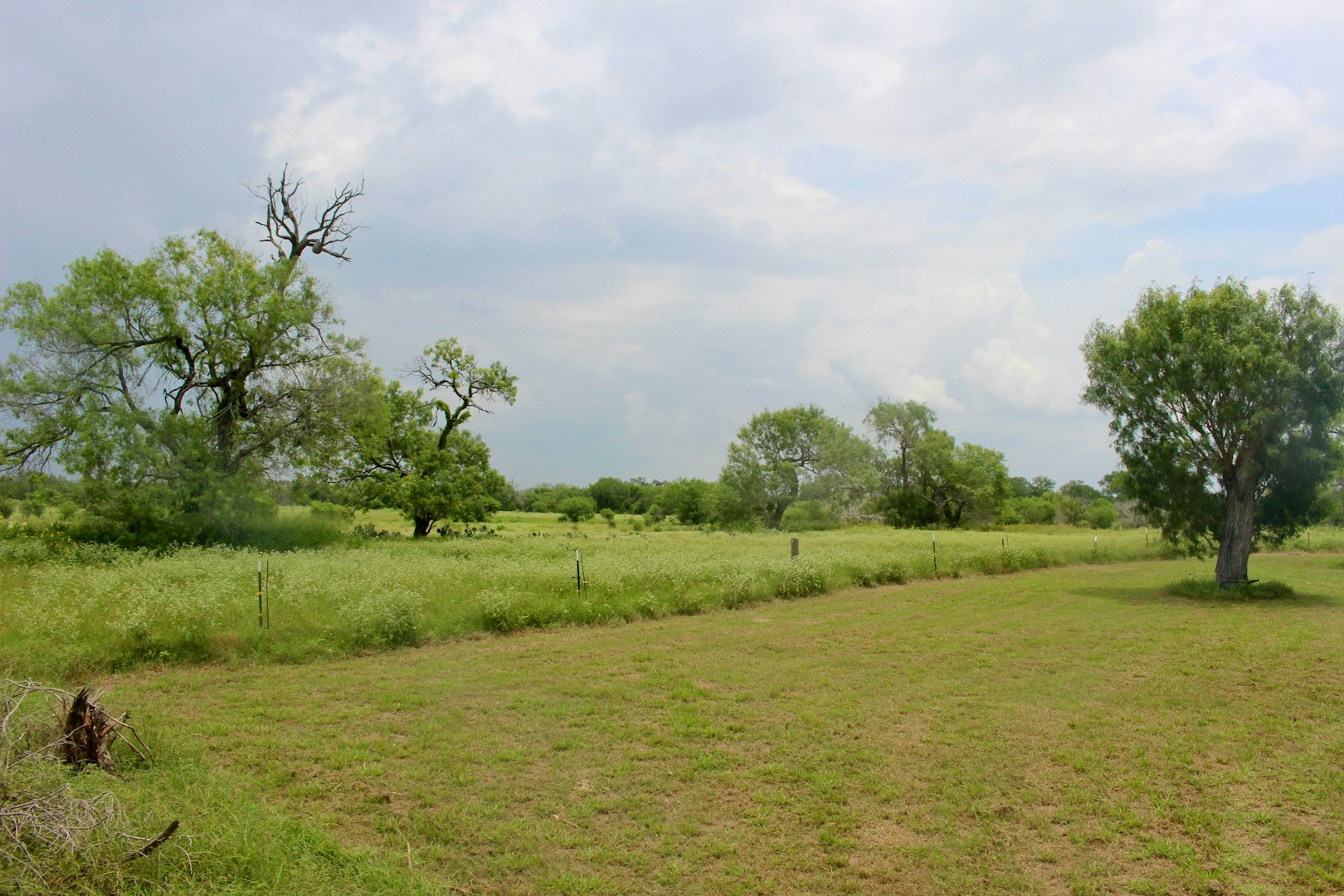 3 Gansky Lane Pleasanton TX 78064