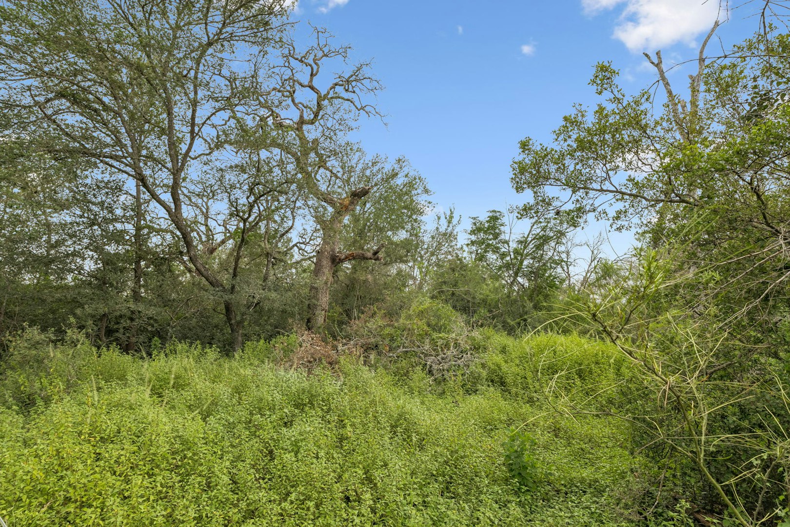 3285 Pittman Road Saint Hedwig TX 78152