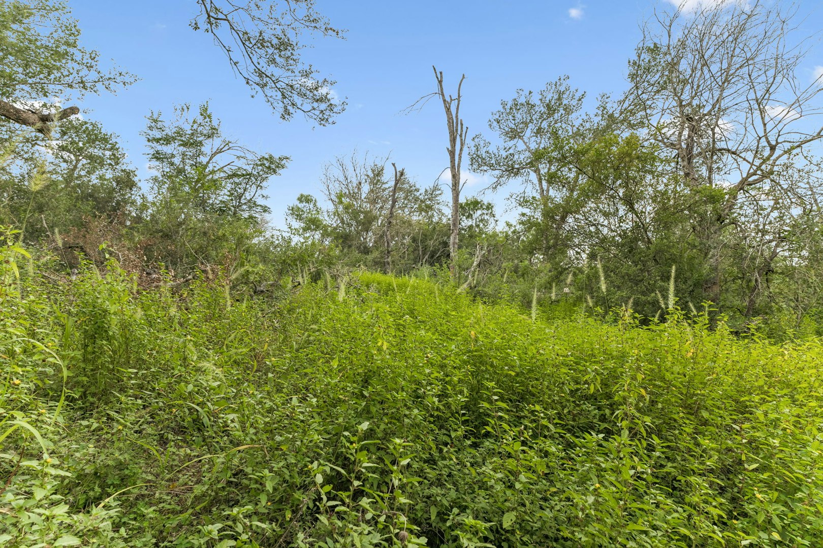 3285 Pittman Road Saint Hedwig TX 78152