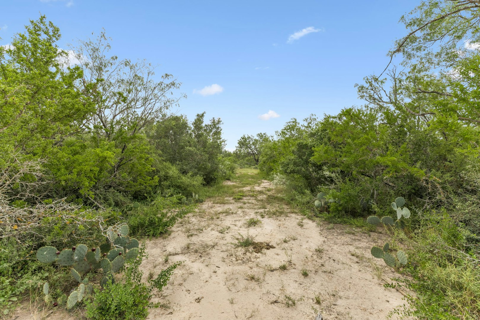 3285 Pittman Road Saint Hedwig TX 78152