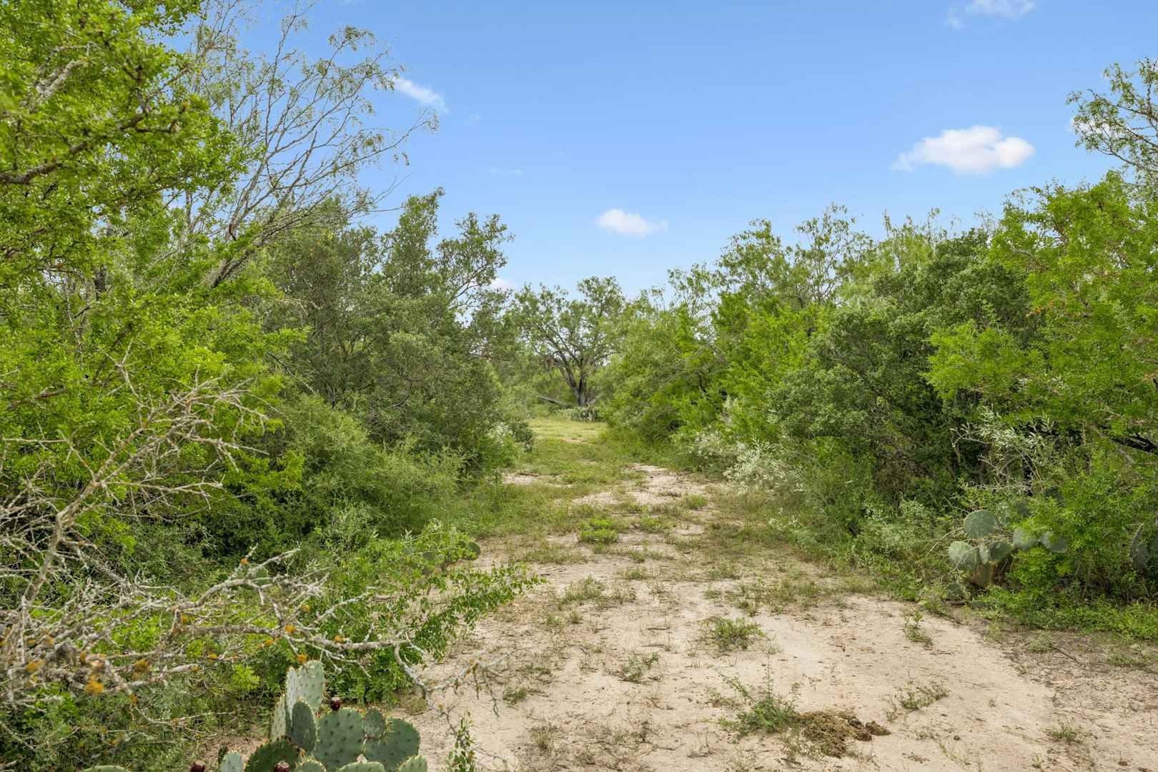 3285 Pittman Road Saint Hedwig TX 78152