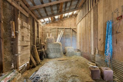 3285 Pittman Road Saint Hedwig TX 78152