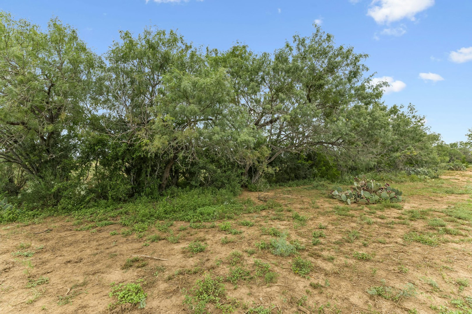 3285 Pittman Road Saint Hedwig TX 78152