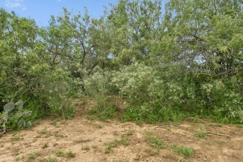 3285 Pittman Road Saint Hedwig TX 78152