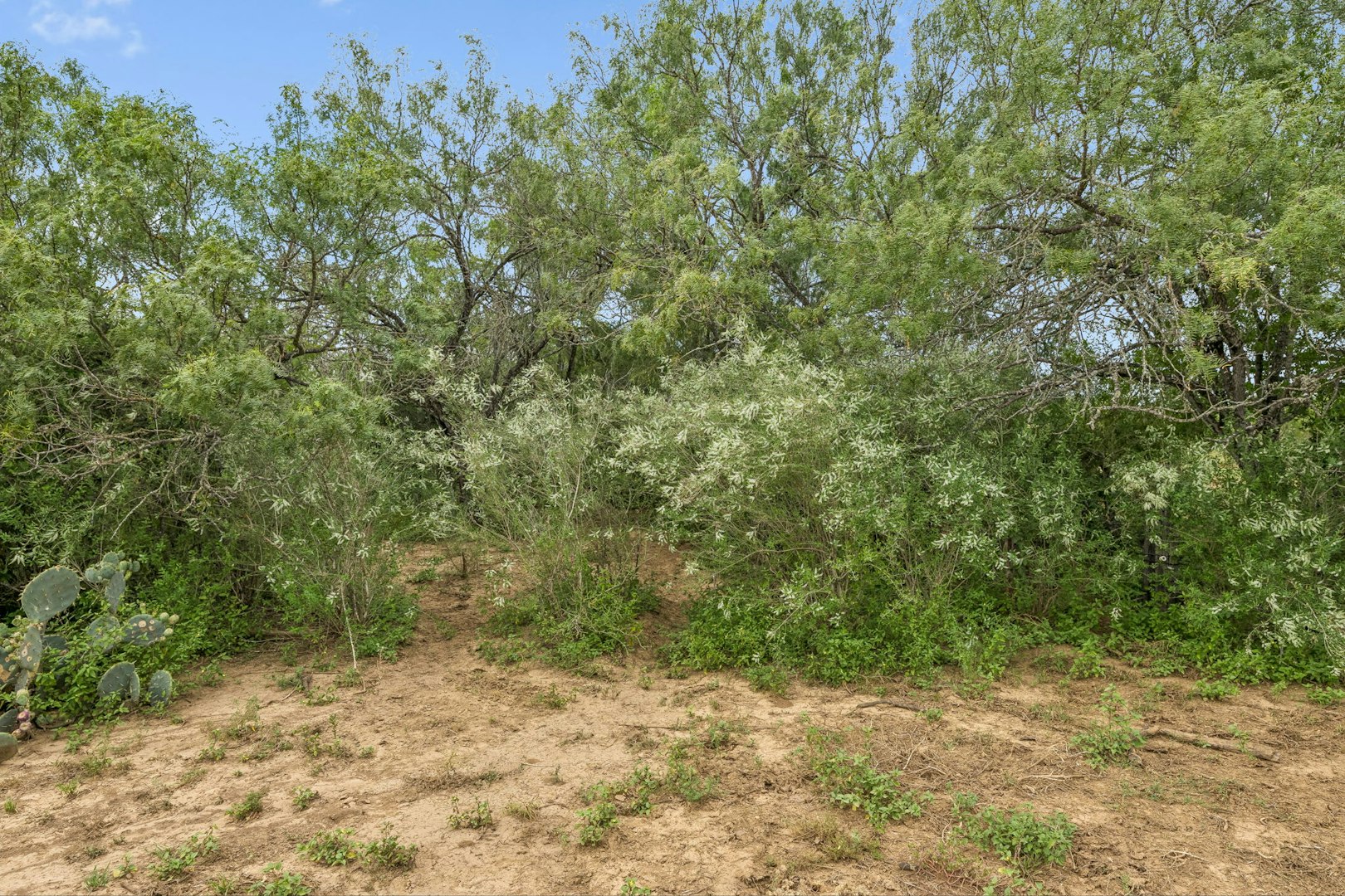 3285 Pittman Road Saint Hedwig TX 78152