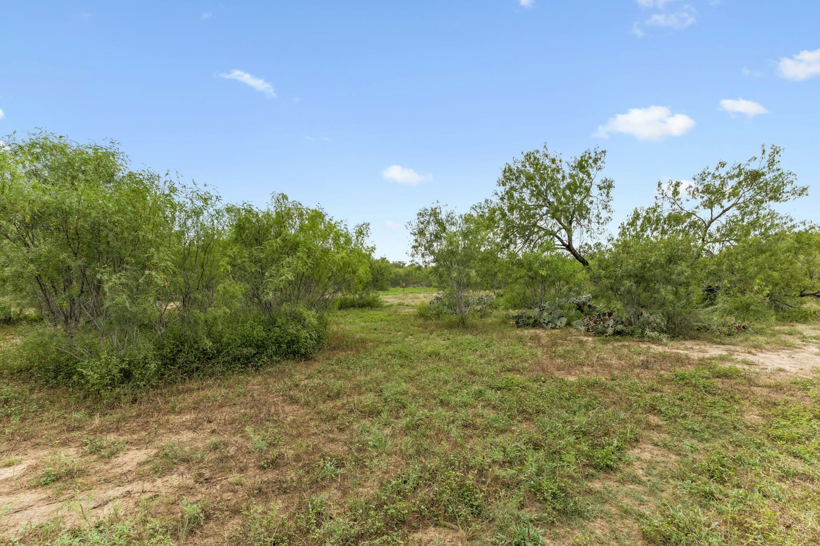 3285 Pittman Road Saint Hedwig TX 78152