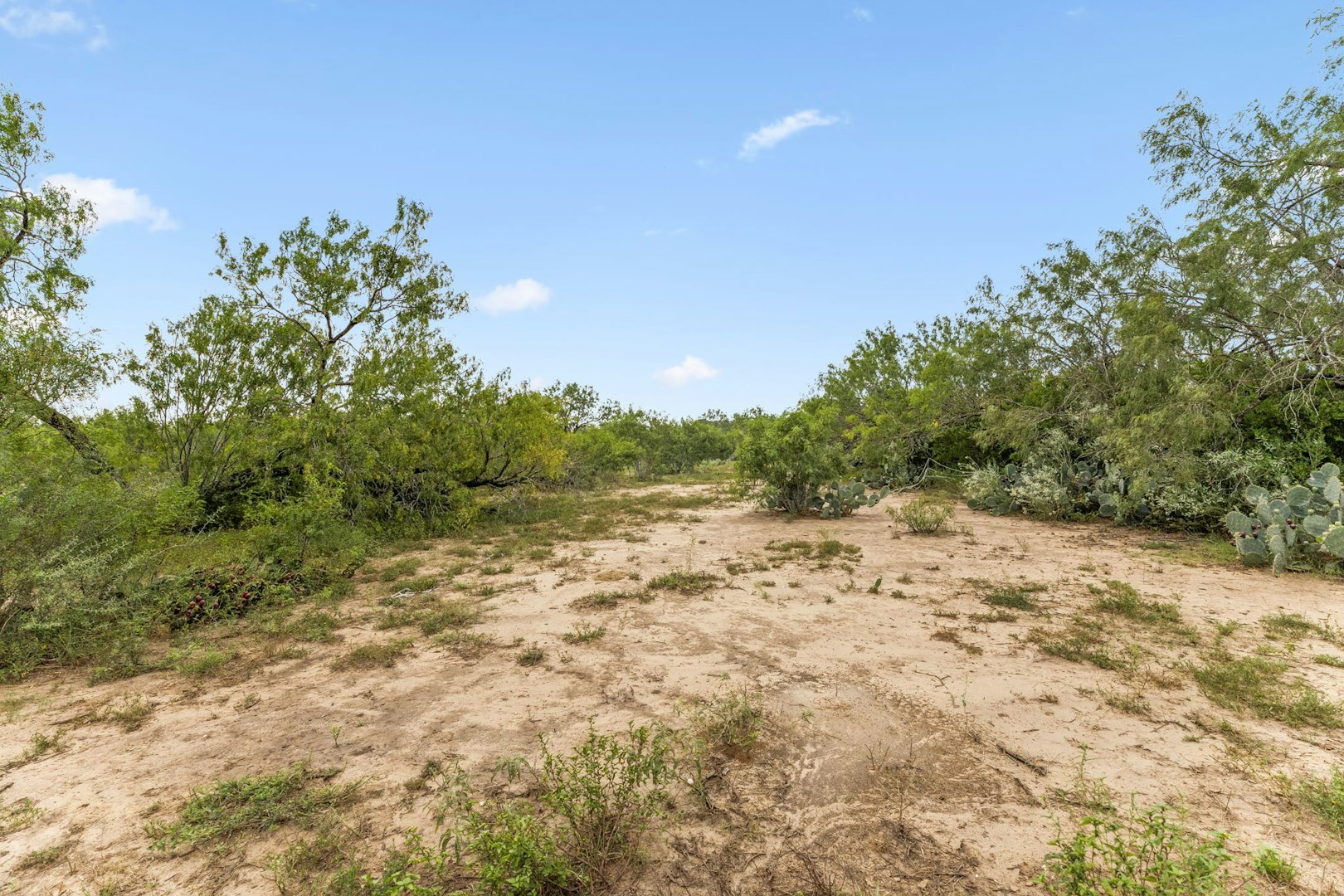 3285 Pittman Road Saint Hedwig TX 78152
