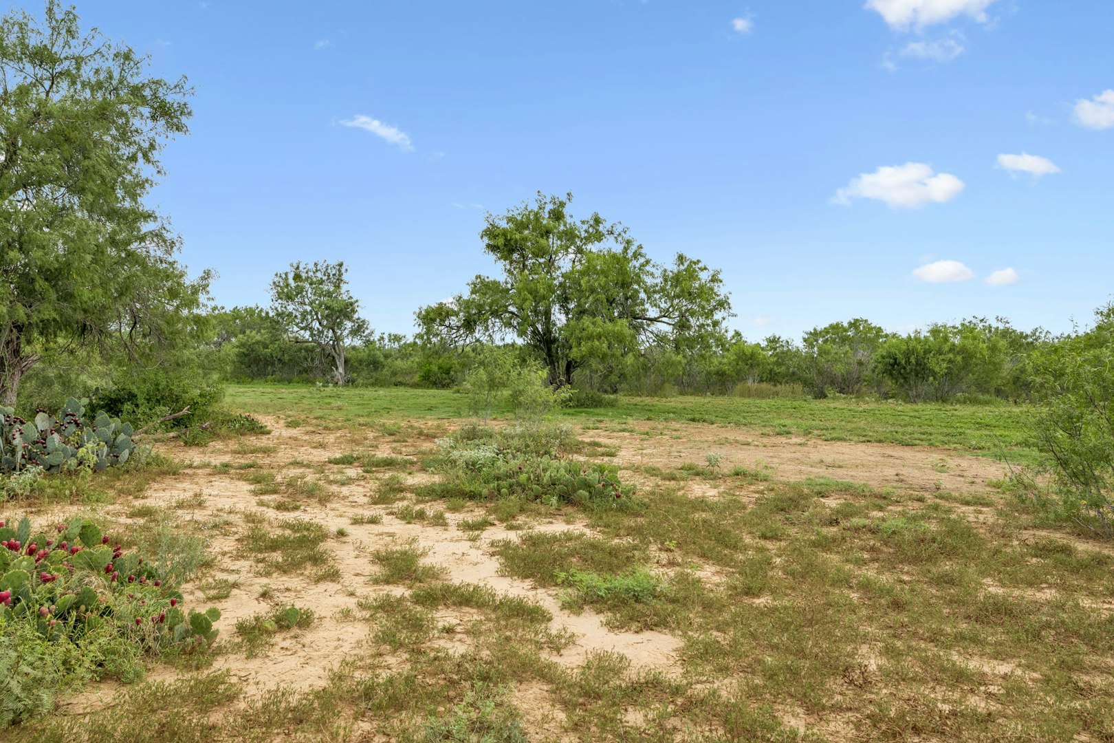 3285 Pittman Road Saint Hedwig TX 78152