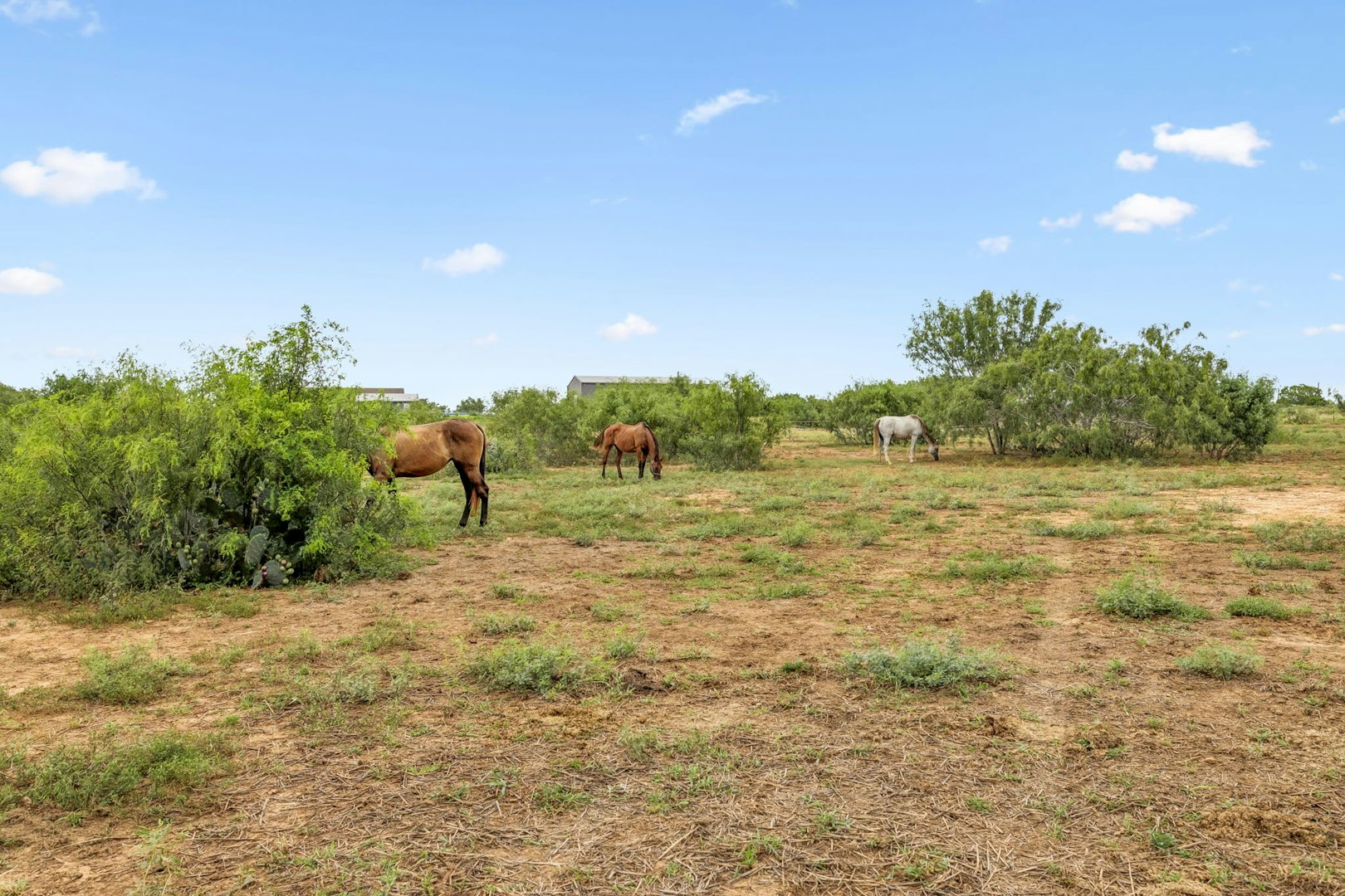 3285 Pittman Road Saint Hedwig TX 78152