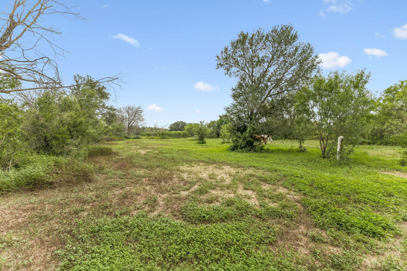 3285 Pittman Road Saint Hedwig TX 78152
