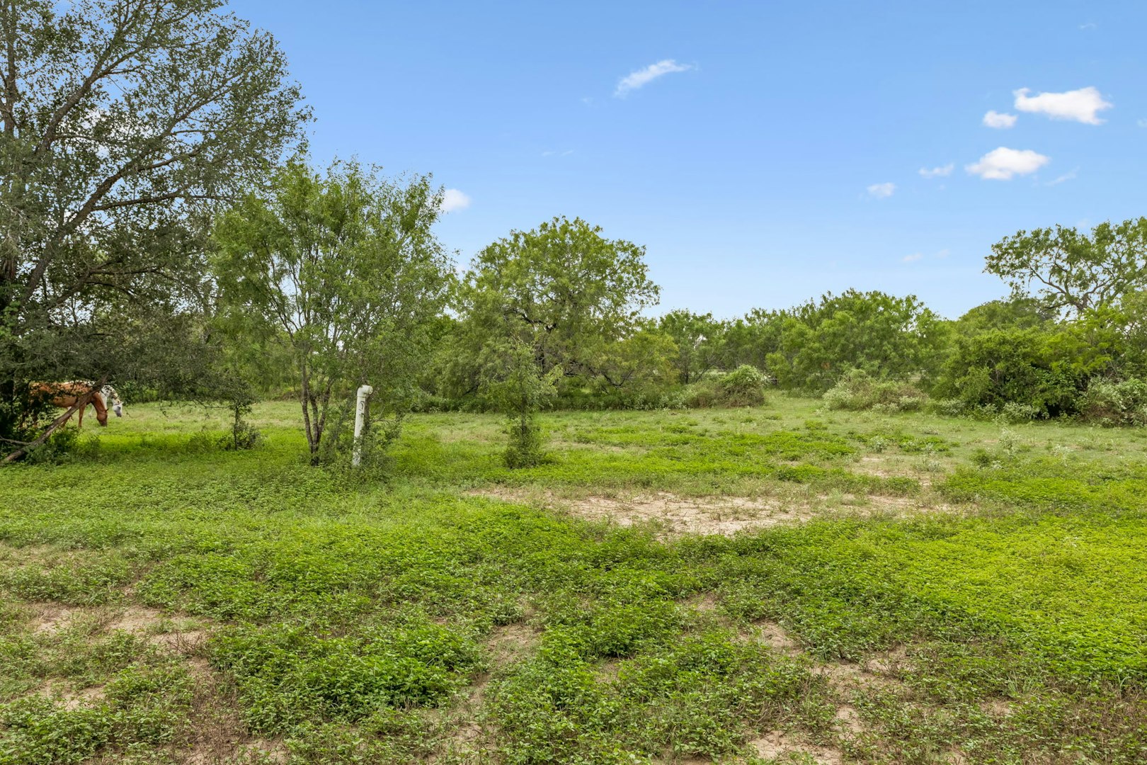 3285 Pittman Road Saint Hedwig TX 78152