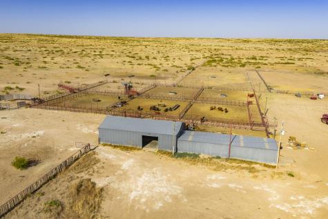 315 Cricket Road Fort Sumner NM 88119