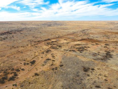 315 Cricket Road Fort Sumner NM 88119